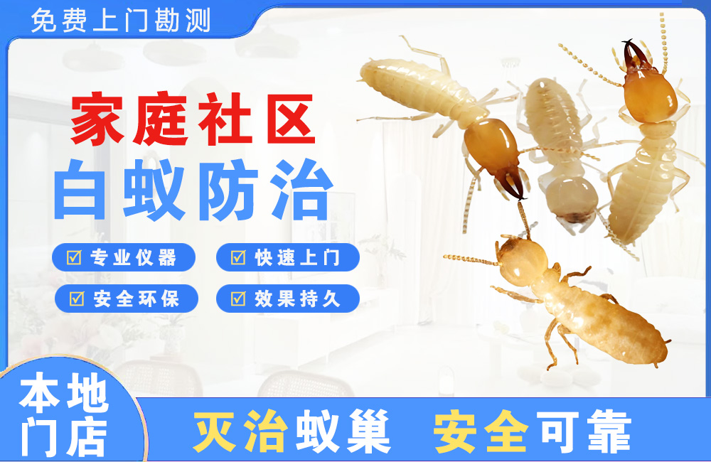 贺州家庭社区白蚁防治