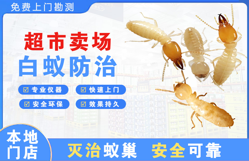 贺州超市卖场白蚁防治