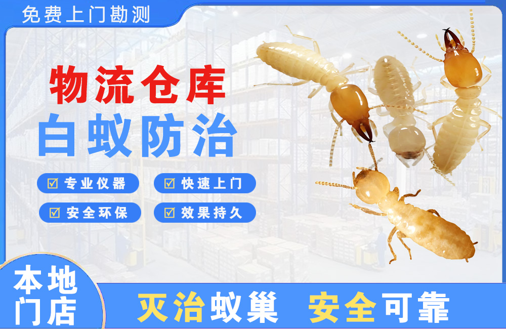 贺州物流仓库白蚁防治