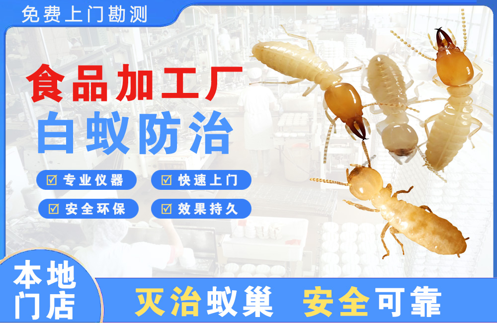 贺州食品加工厂白蚁防治