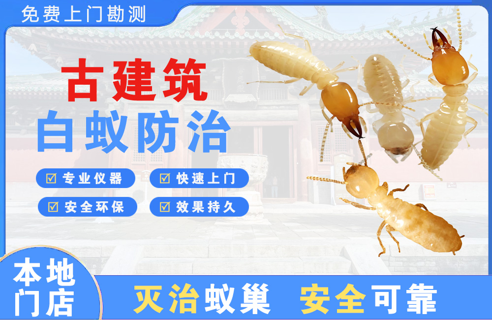 贺州古建筑白蚁防治