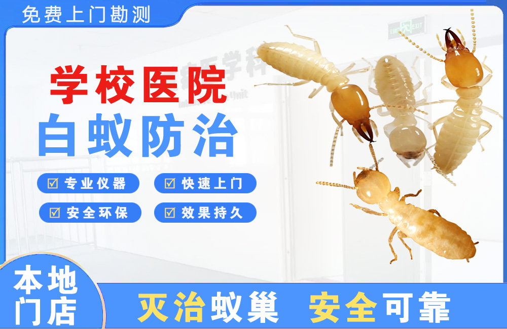 贺州学校医院白蚁防治