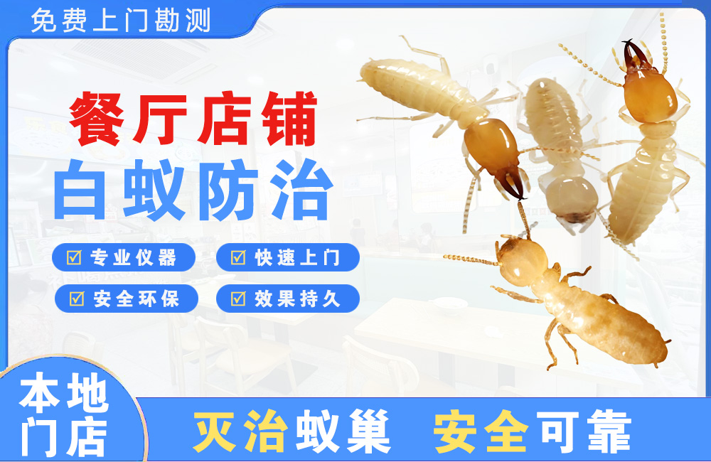 贺州餐厅店铺白蚁防治